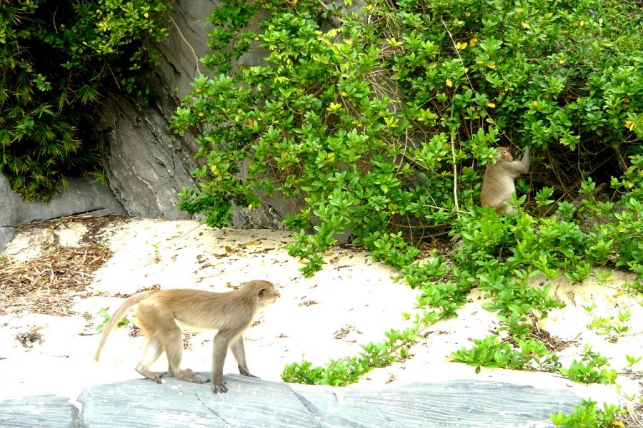 Tour Cát Bà 3 Ngày Khởi Hành Hàng Ngày