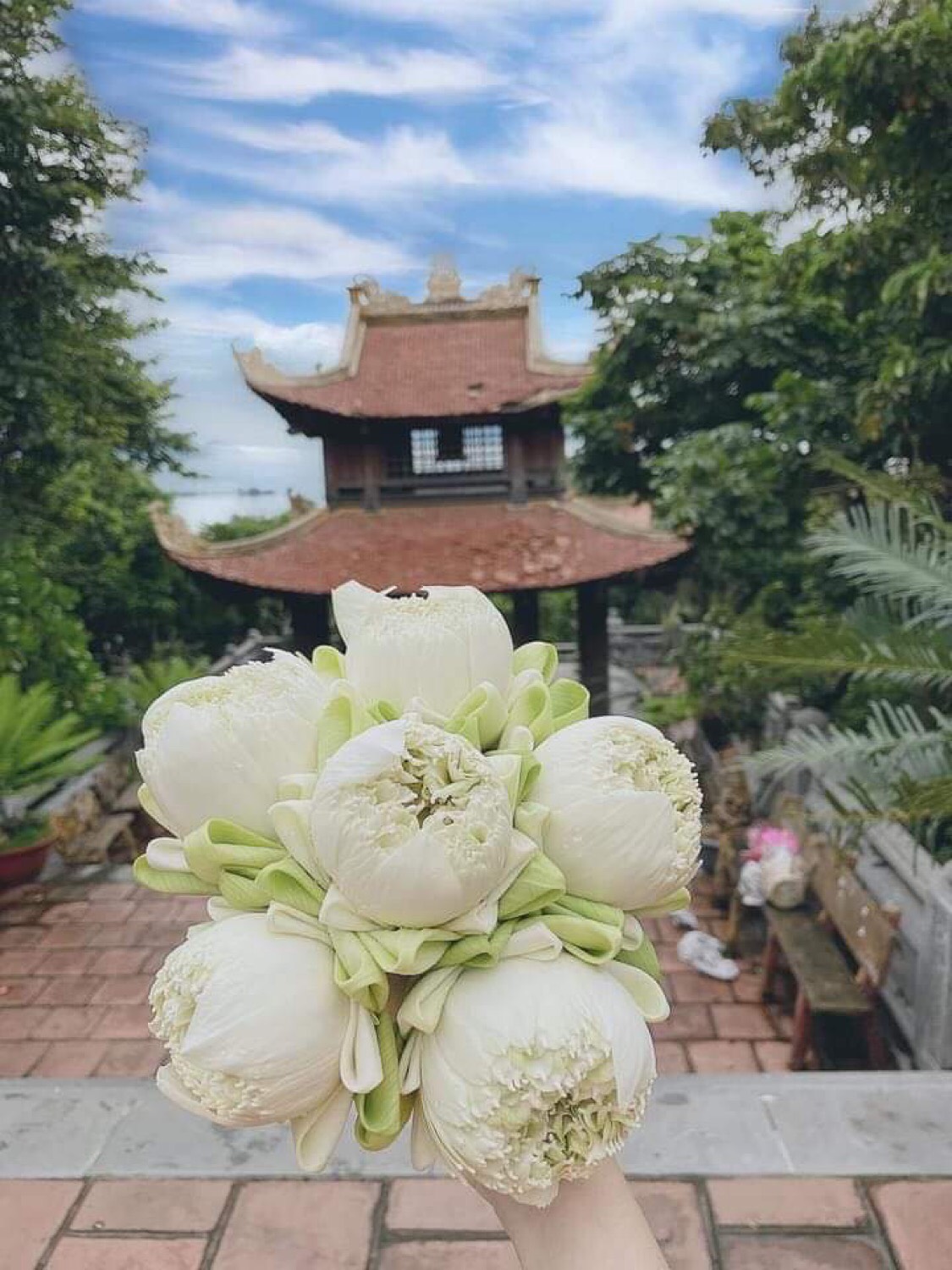 Tour Côn Đảo 3 ngày 2 đêm từ Hồ Chí Minh