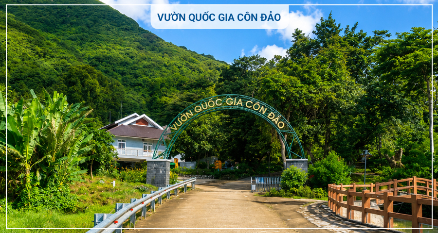 Tour Côn Đảo Hòn Tài Hòn Bảy Cạnh 3 Ngày 2 Đêm