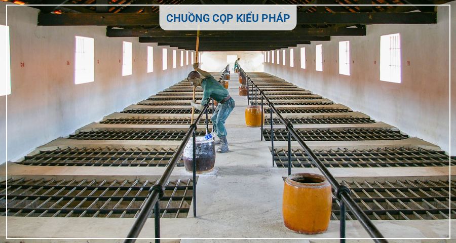 Tour Côn Đảo Hòn Tài Hòn Bảy Cạnh 3 Ngày 2 Đêm