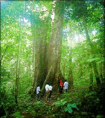Tour Cúc Phương – Tam Cốc, Bích Động – Ninh Bình 2 Ngày