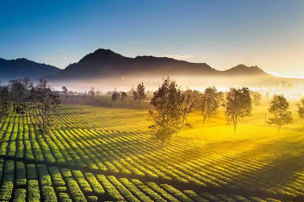 Tour Đà Lạt - Buôn Mê Thuột 5 ngày 4 đêm