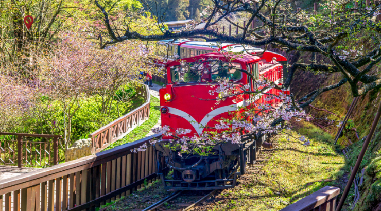 Tour Đài Loan mùa hoa Anh Đào 5 ngày 4 đêm