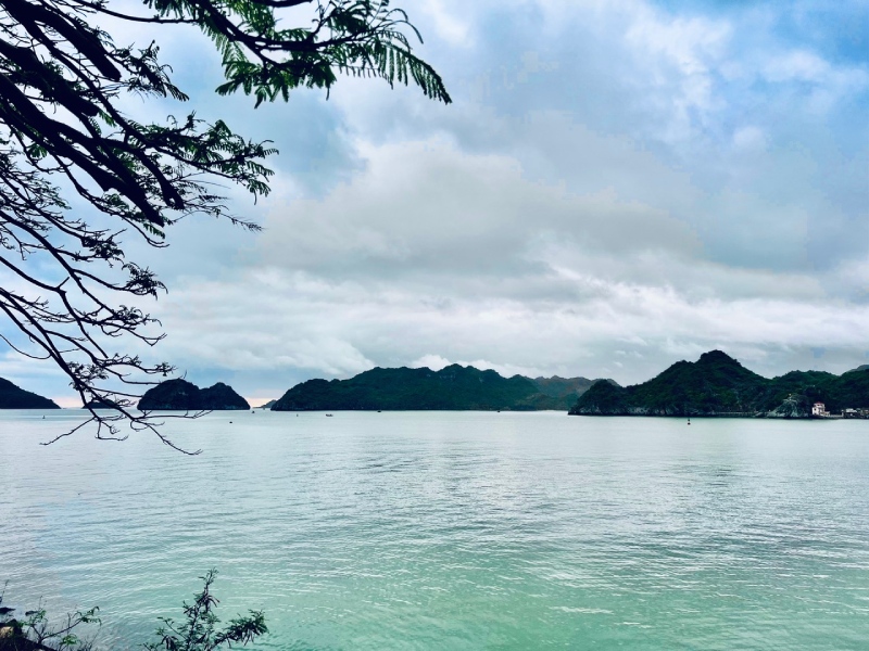 Tour đảo Cát Bà - Vịnh Lan Hạ 3 ngày 2 đêm