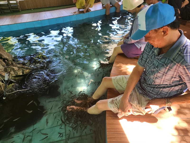 Tour đảo Cát Bà Vịnh Lan Hạ 3 ngày 2 đêm