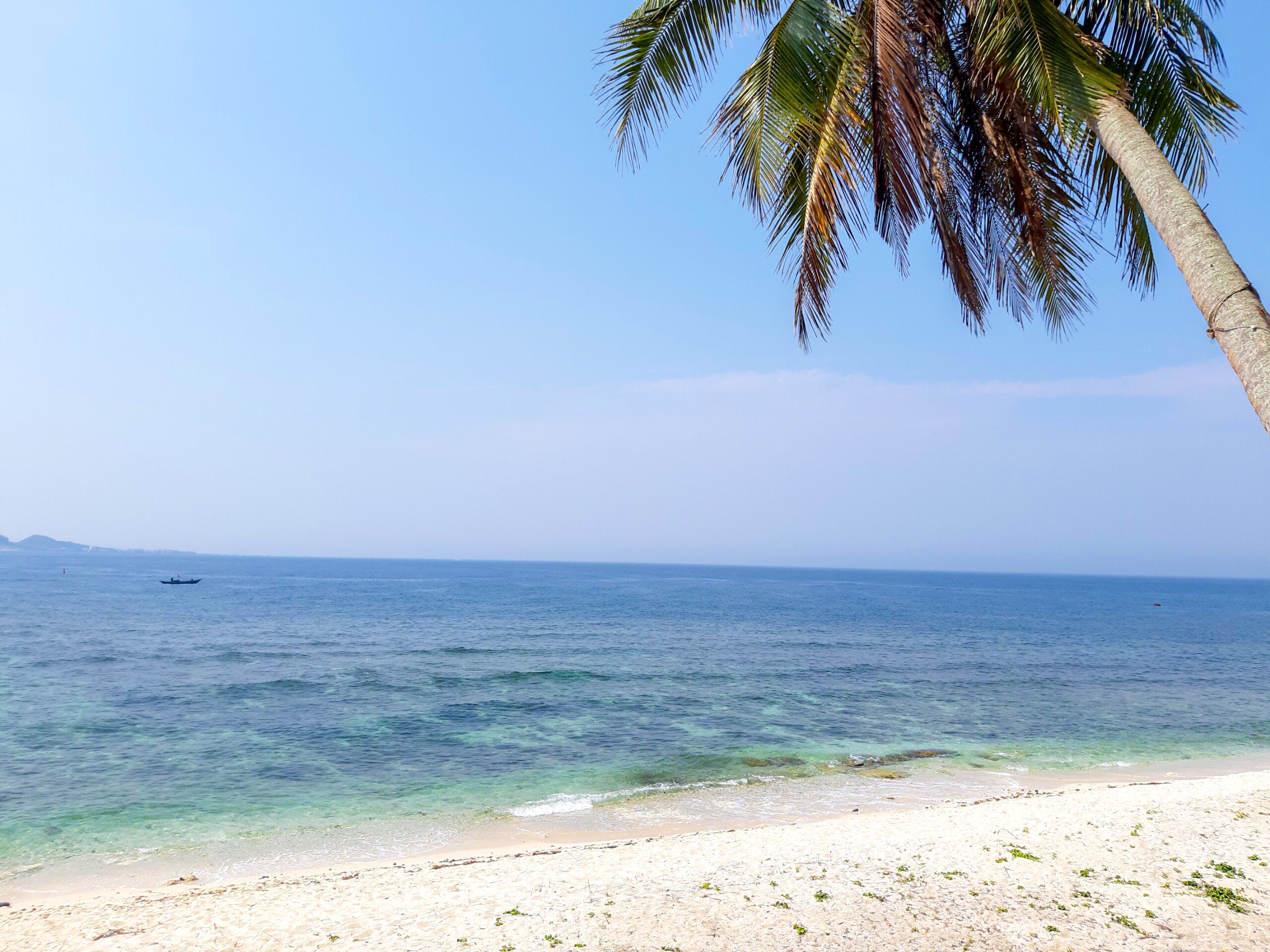 Tour Đảo Lý Sơn 4 Ngày 3 Đêm - Khám phá đảo tiên giữa dòng nước xanh biếc
