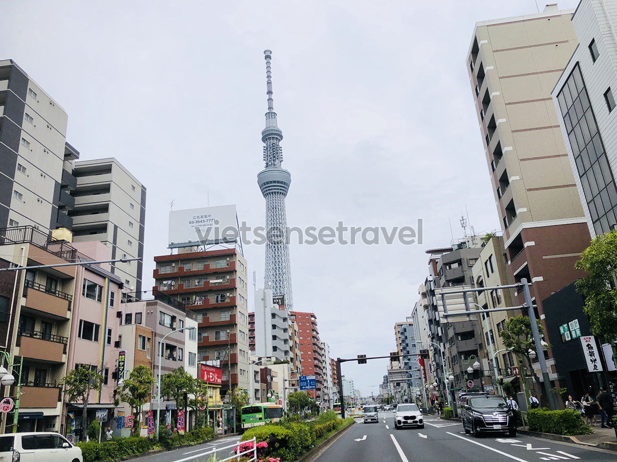 Tour Đón Giáng Sinh và Tết Dương Lịch Nhật Bản 2025