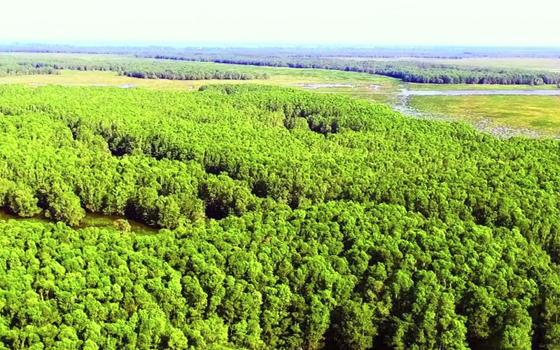 Tour Đồng Tháp 2025