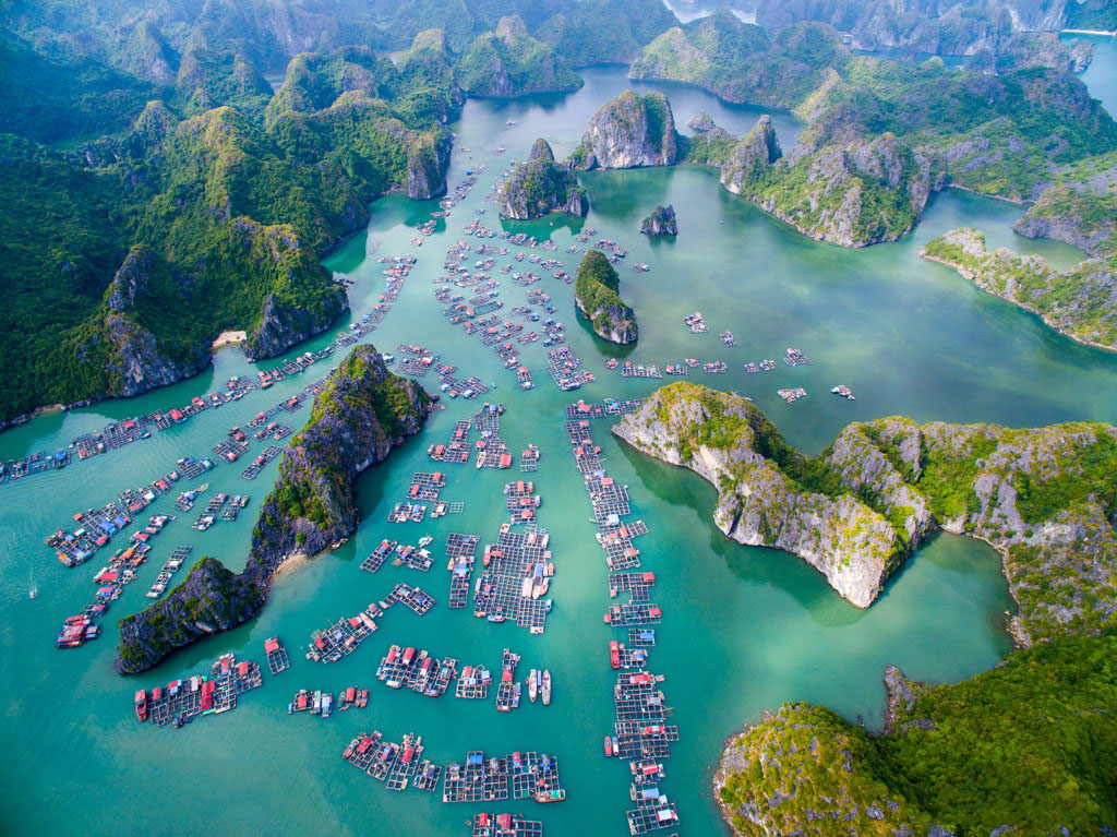 Tour Du Lịch Cát Bà Cáp Treo Phù Long 3 Ngày 2 Đêm