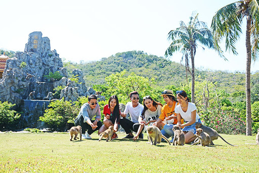 Tour Du Lịch Cát Bà Vịnh Lan Hạ 1 Ngày
