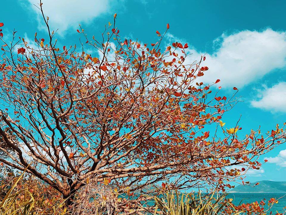 Tour Du Lịch Côn Đảo BẰNG TRỰC THĂNG 3 Ngày 2 Đêm