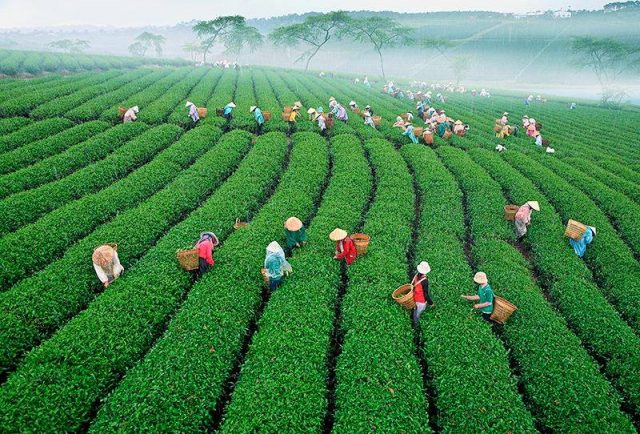 Tour du lịch Đà Lạt – Buôn Ma Thuột
