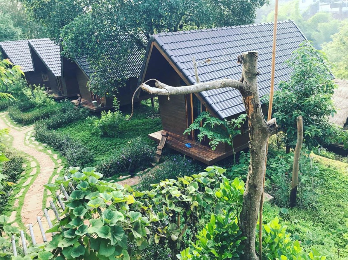 Tour du lịch Đà Lạt – Buôn Ma Thuột