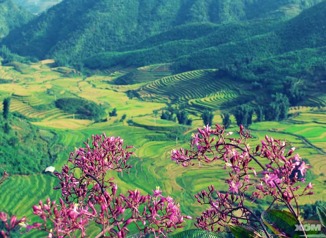 Tour Du Lịch Điện Biên - Sơn La 3 Ngày 2 Đêm Tháng 9