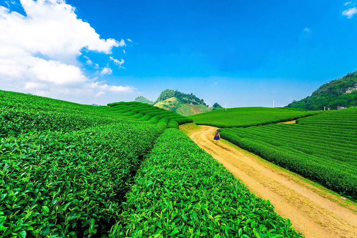 Tour Du Lich Điện Biên Phủ 2025: Ký Ức Điện Biên!