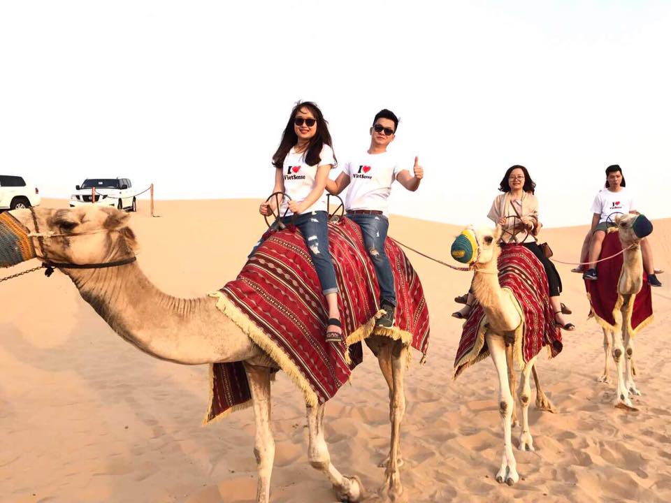 Tour Du Lich Dubai 2025 Khám phá SA MẠC SAFARI