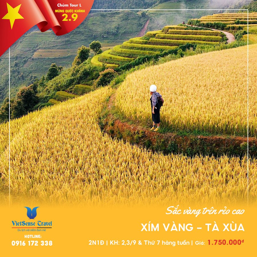 Tour du lịch Hà Giang 2025: Chùm Tour Sắc Vàng Trên Rẻo Cao!