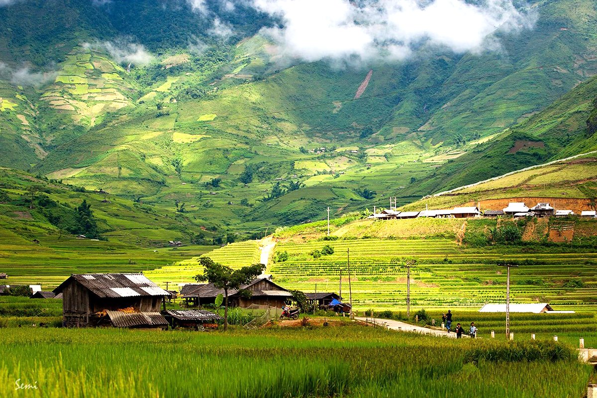 Tour du lịch Hà Giang 2025: Chùm Tour Sắc Vàng Trên Rẻo Cao!