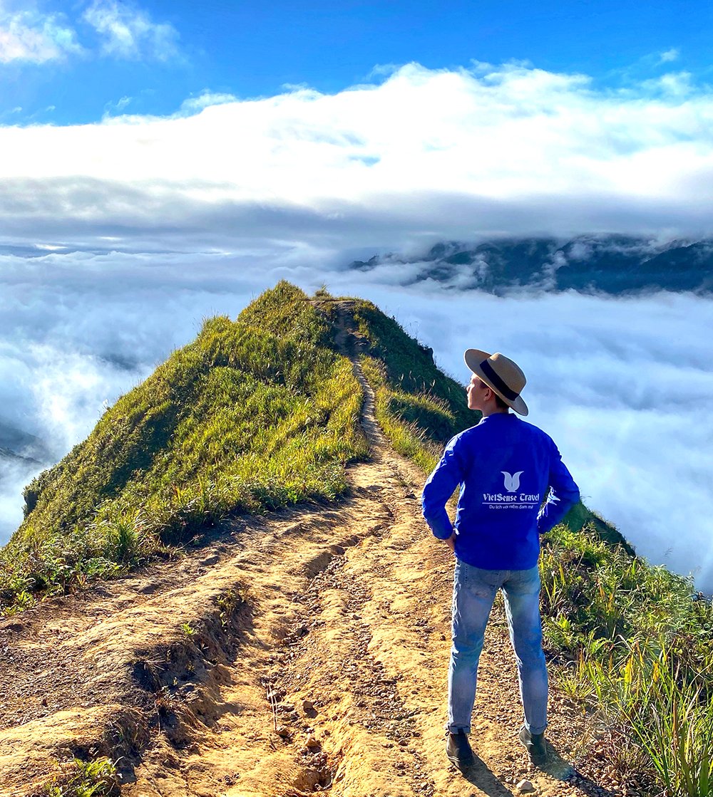 Tour du lịch Hà Giang 2025: Chùm Tour Sắc Vàng Trên Rẻo Cao!