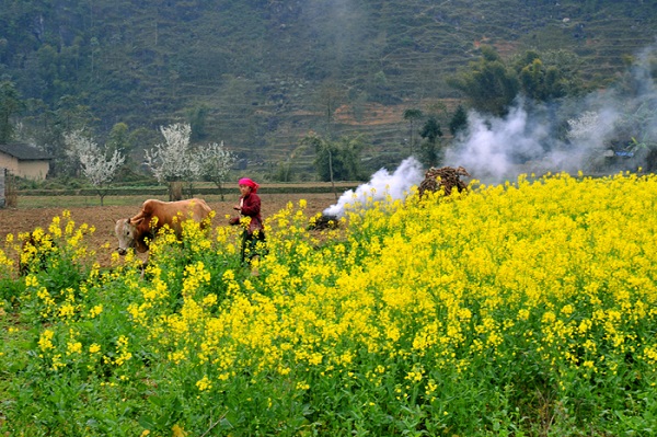 Tour Du Lịch Hà Giang 3 Ngày 2 Đêm Dịp Lễ 30/4