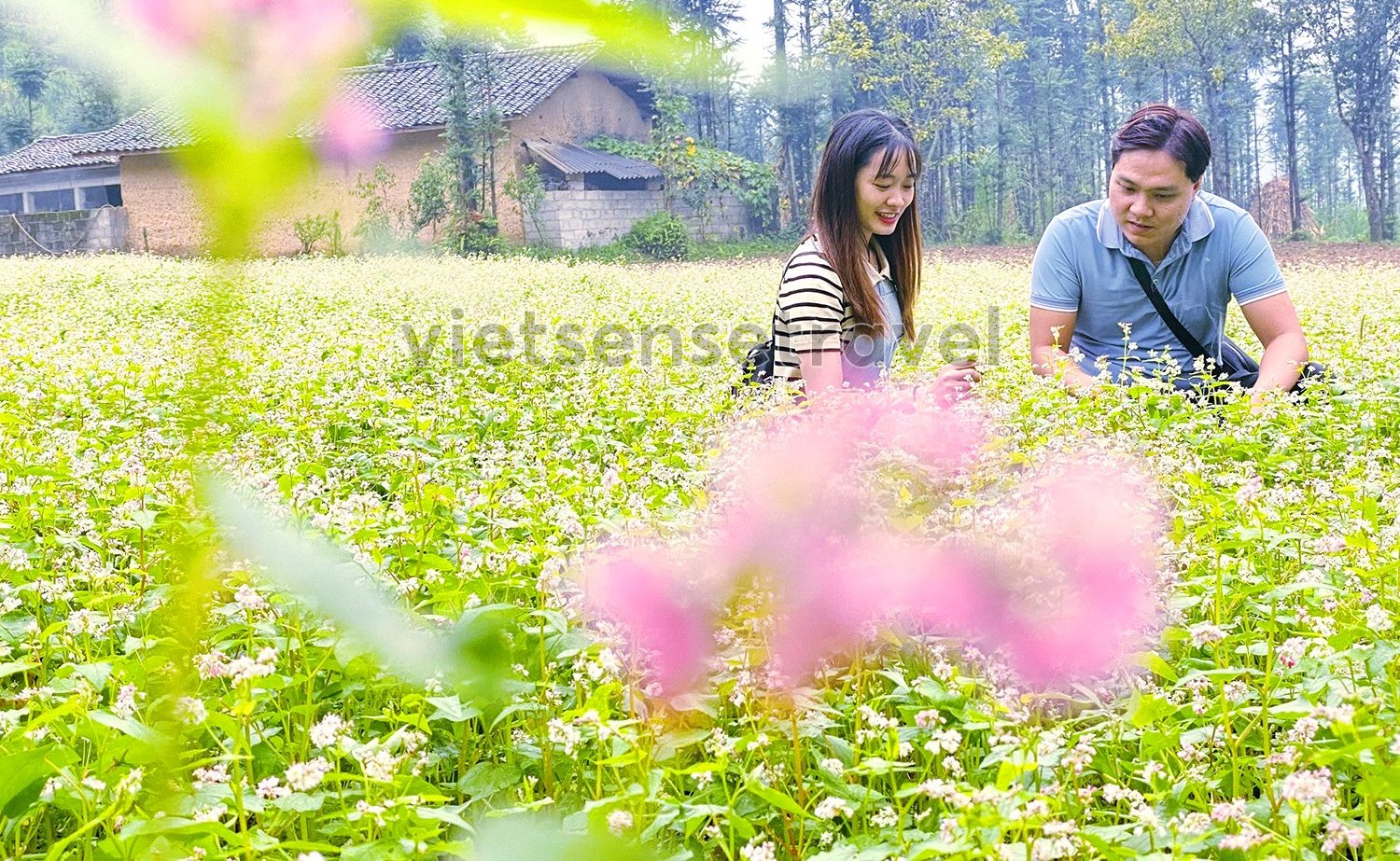 Tour Du Lịch Hà Giang Mùa Hoa Tam Giác Mạch 3 Ngày 2 Đêm