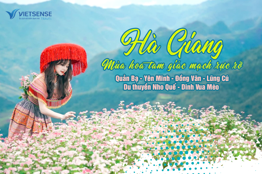 Tour Du Lịch Hà Giang Mùa Hoa Tam Giác Mạch 3 Ngày 2 Đêm