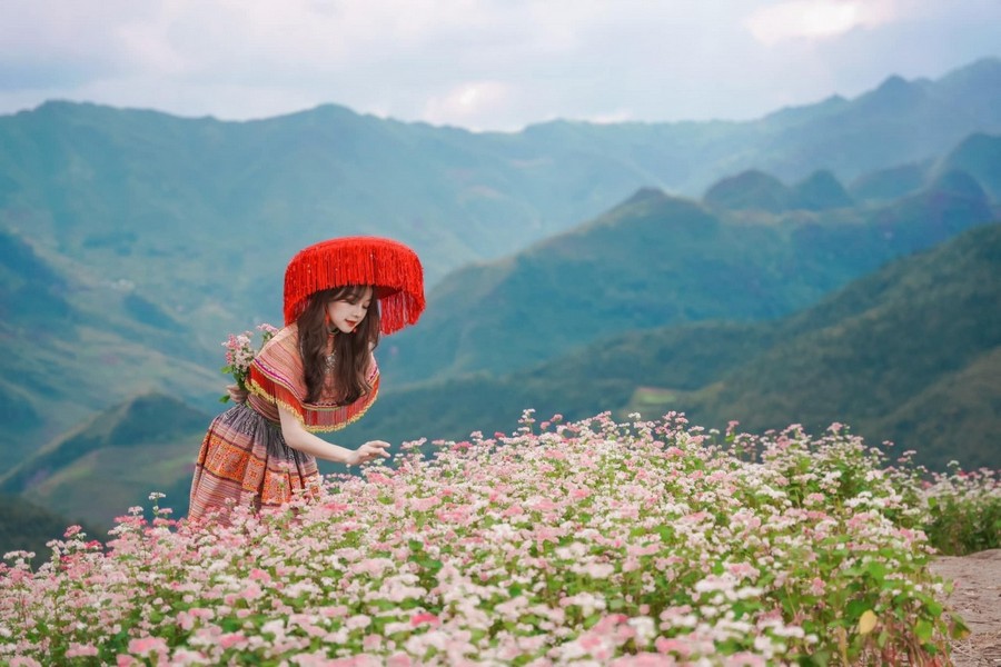 Tour Du Lịch Hà Giang Mùa Hoa Tam Giác Mạch 3 Ngày 2 Đêm