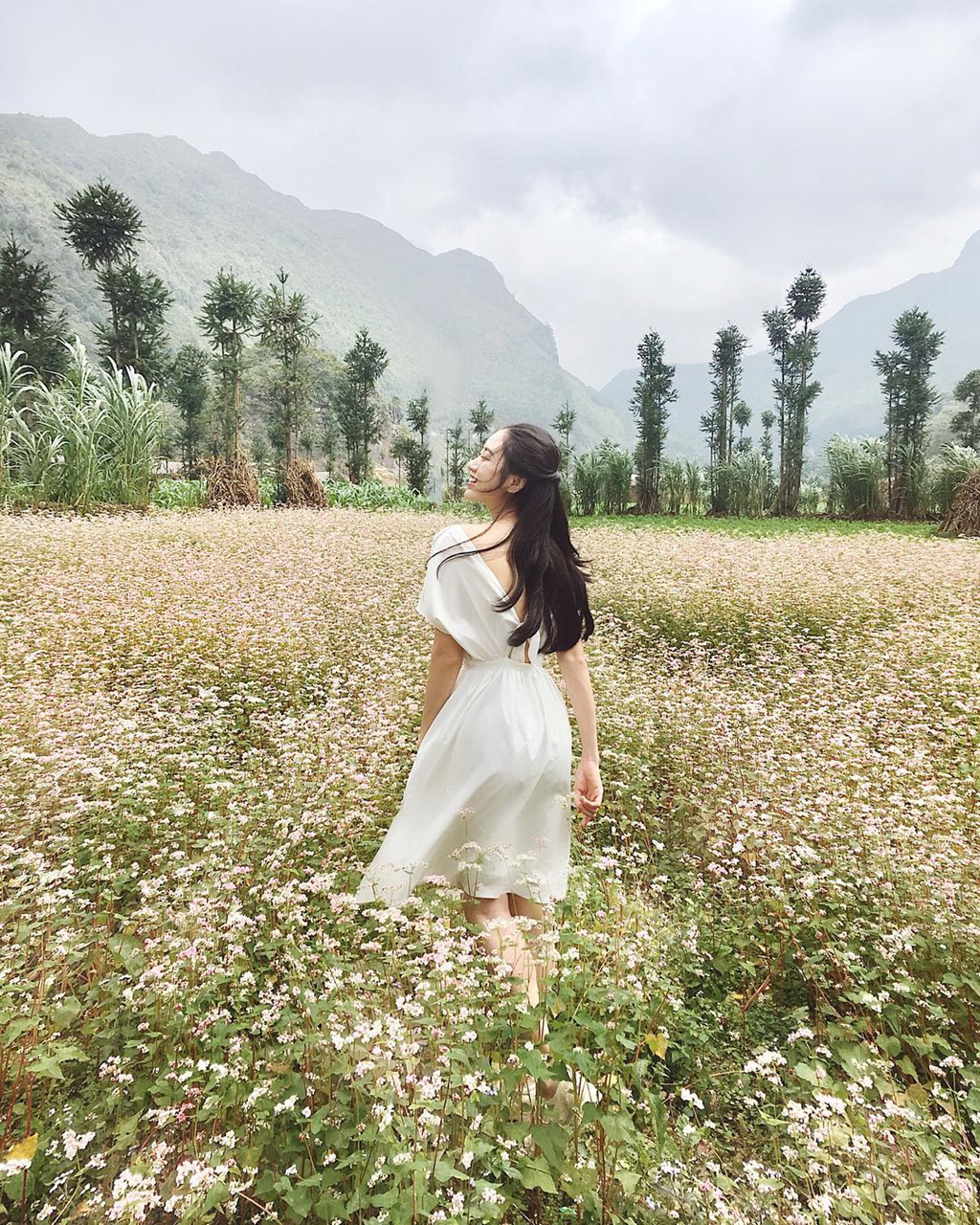 Tour du lịch hà giang mùng 2 tháng 9: Thu Vàng Trên Rẻo Cao!