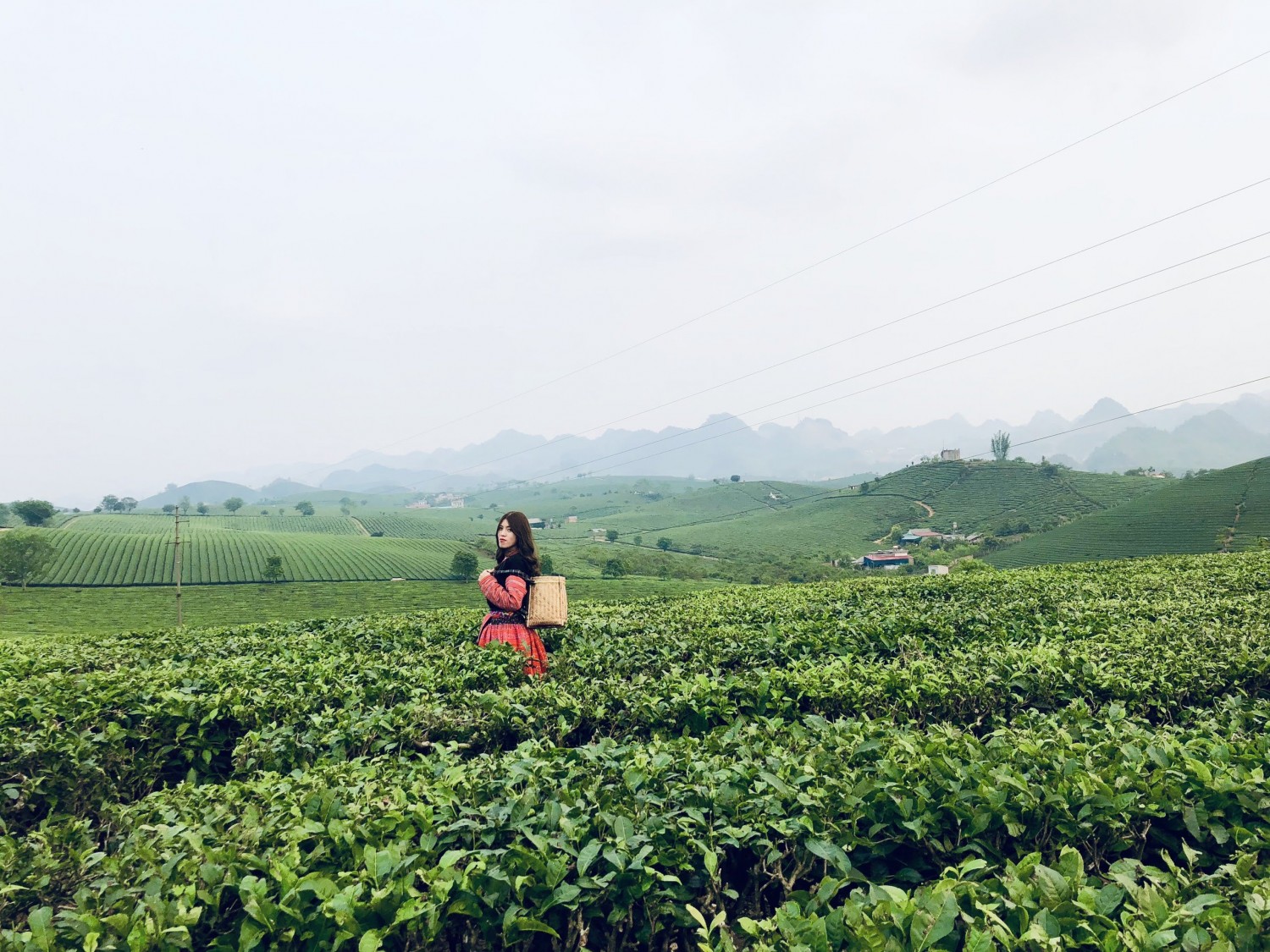 Tour du lịch Hà Nội – Mộc Châu – Sơn La – Điện Biên 4 Ngày 3 Đêm