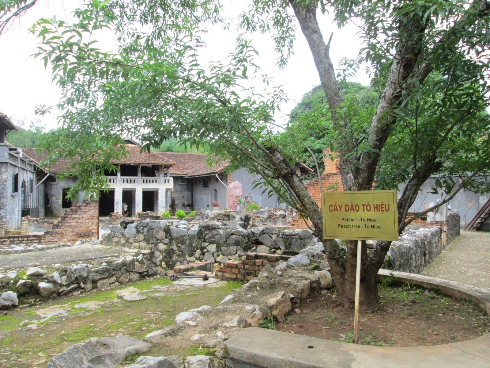 Tour du lịch Hà Nội – Mộc Châu – Sơn La – Điện Biên 4 Ngày 3 Đêm
