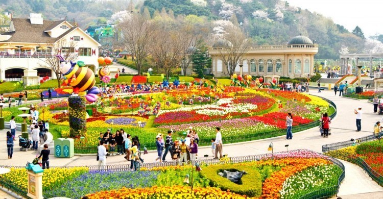 Tour Du Lịch Hàn Quốc mùa thu vàng