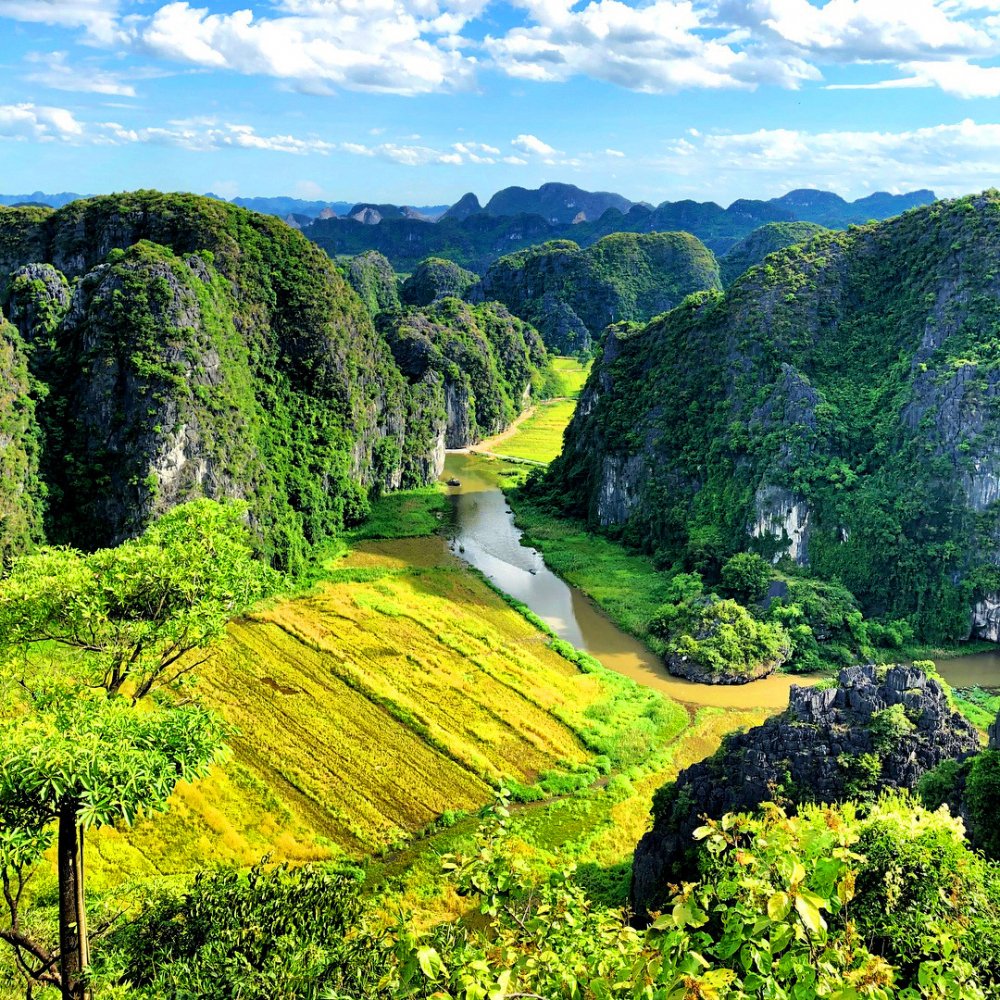 Tour Du Lịch Hoa Lư - Tam Cốc - Vườn Chim Thung Nham Từ Hà Nội - 2 Ngày 1 Đêm