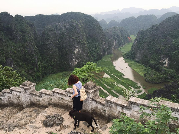 Tour Du Lịch Hoa Lư - Tam Cốc - Vườn Chim Thung Nham Từ Hà Nội - 2 Ngày 1 Đêm