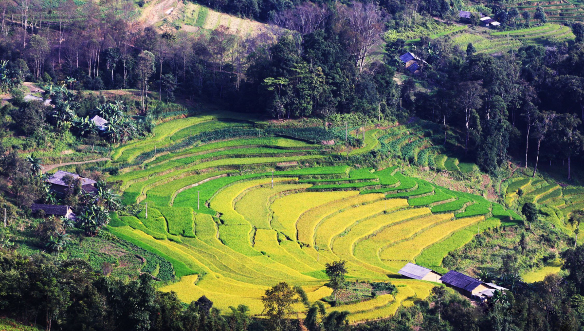 Tour Du Lịch Hoàng Su Phì - Xín Mần - Simacai - Bắc Hà 3 Ngày 2 Đêm