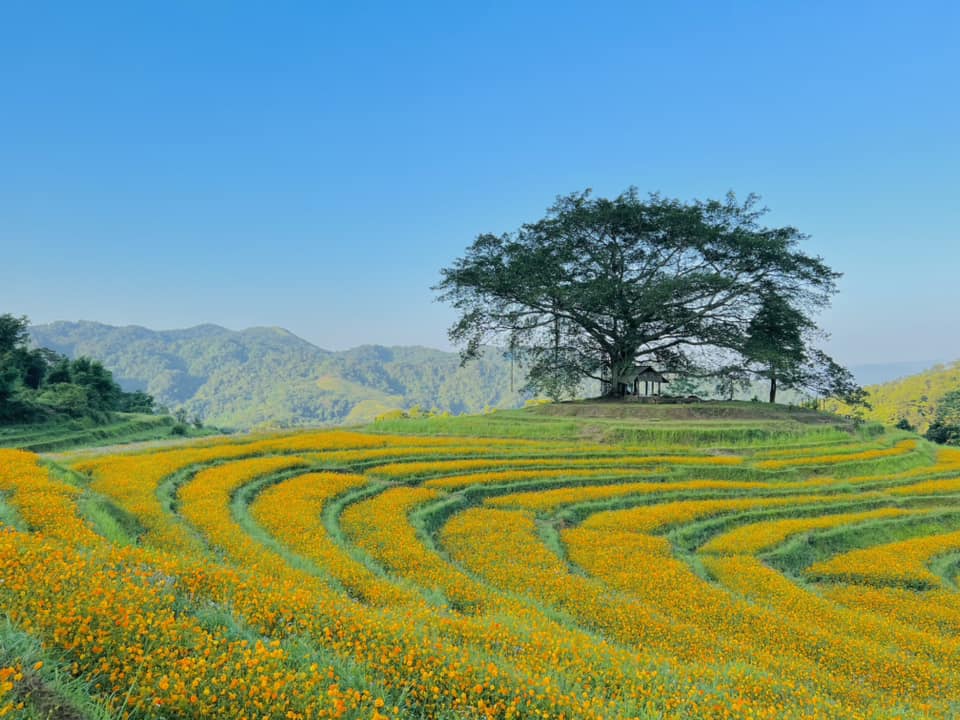 Tour Du Lịch Mai Châu 2 ngày 1 đêm