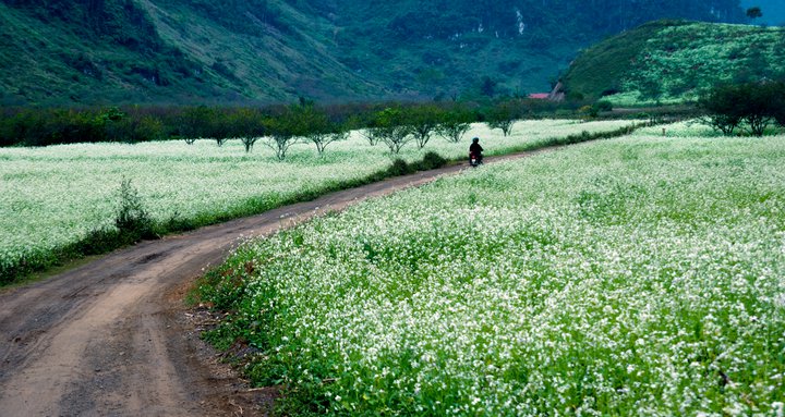 Tour Du Lịch Mai Châu Từ Hà Nội - 2 Ngày 1 Đêm