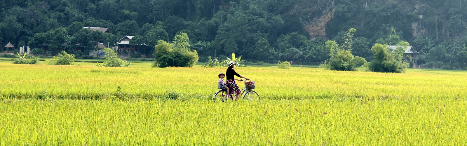 Tour Du Lịch Mai Châu Từ Hà Nội - 2 Ngày 1 Đêm
