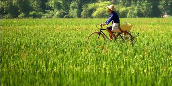 Tour Du Lịch Mai Châu Từ Hà Nội - 2 Ngày 1 Đêm