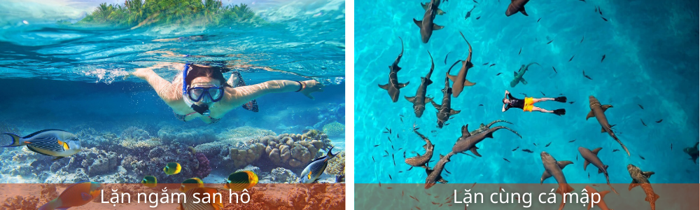 Tour du lịch Maldives 5 ngày 4 đêm
