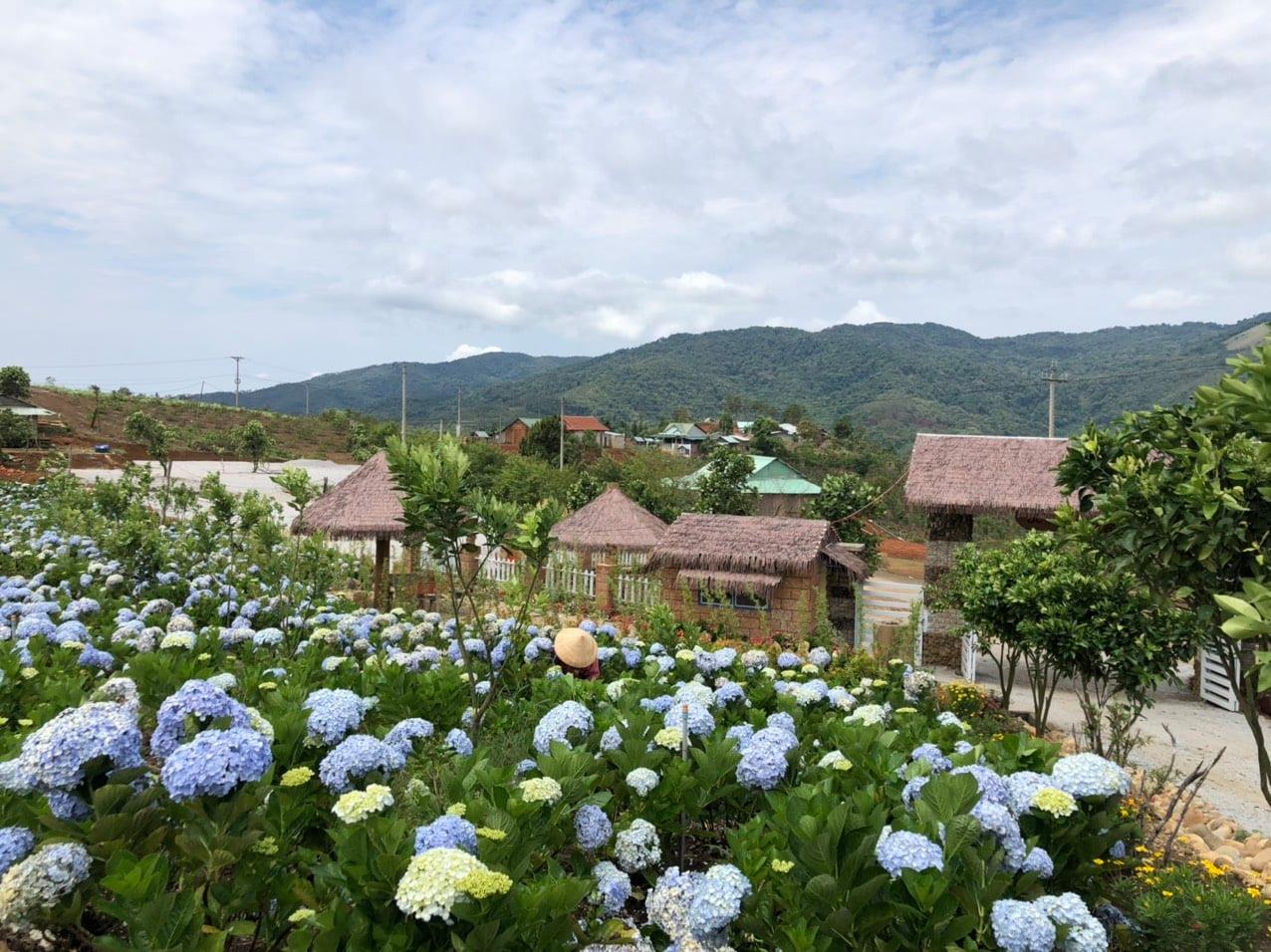 Tour du lịch Măng Đen 3 ngày