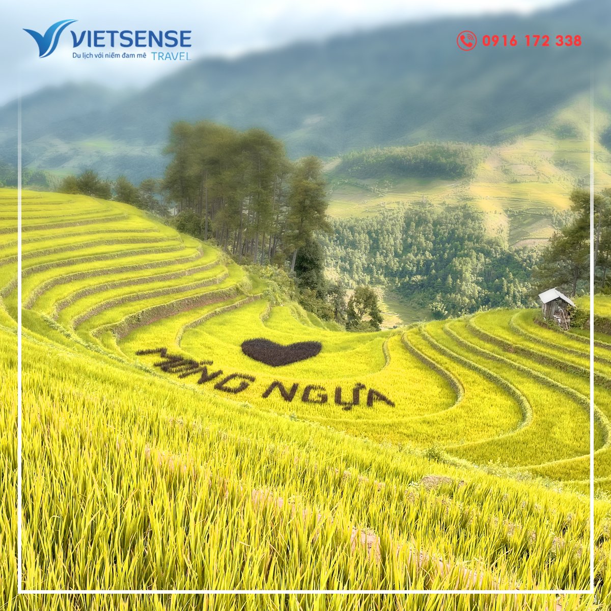 Tour du lịch Mù Cang Chải 2025: Thu Vàng Trên Rẻo Cao!