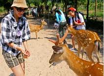 Tour Du Lịch Nha Trang - Du Ngoạn Trên Vịnh Nha Phu
