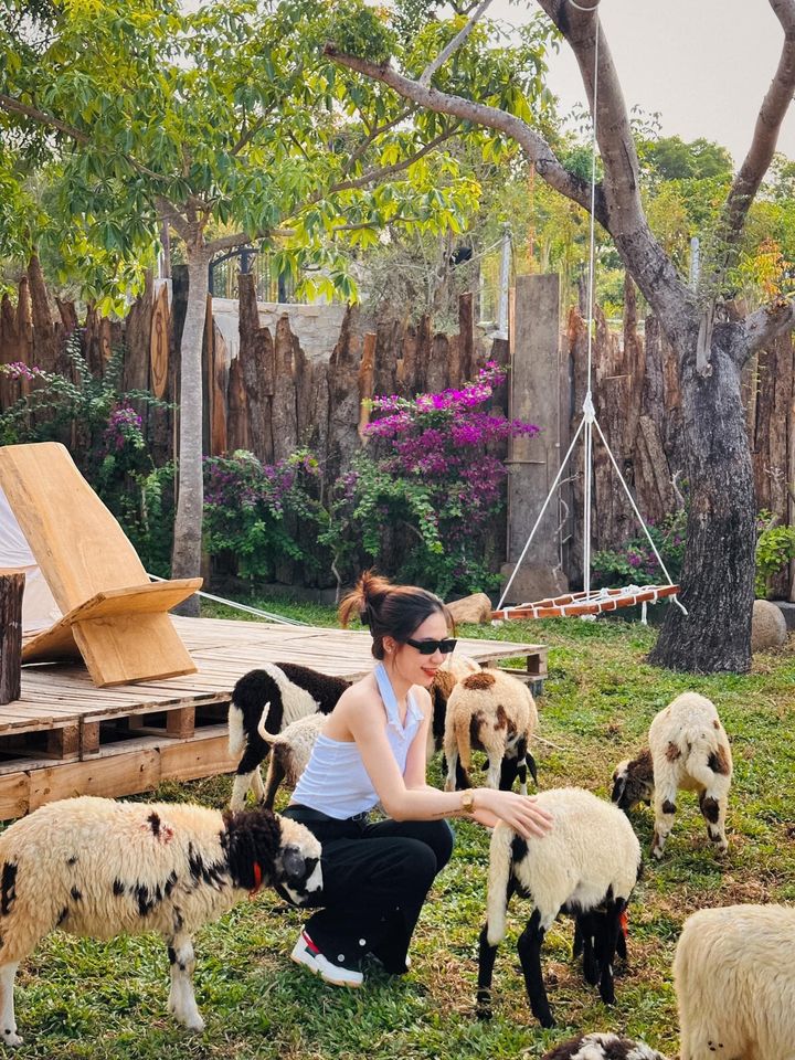 Tour Du Lịch Nha Trang - Du Ngoạn Trên Vịnh Nha Phu