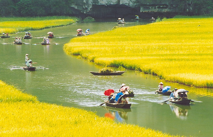 Tour Du Lịch Ninh Bình - Hoa Lư - Tam Cốc Từ Hà Nội - 1 Ngày