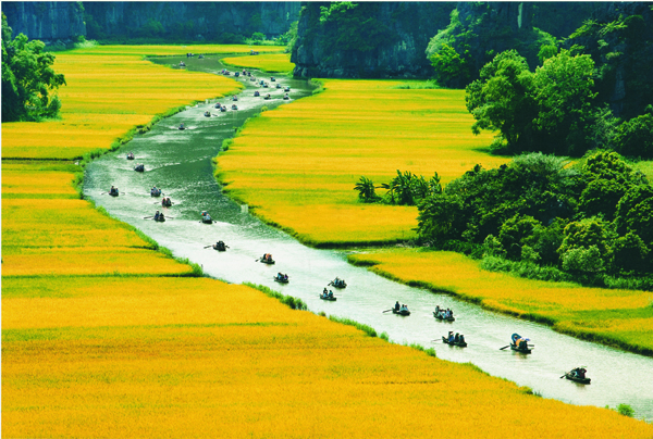 Tour Du Lịch Ninh Bình - Hoa Lư - Tam Cốc Từ Hà Nội - 1 Ngày