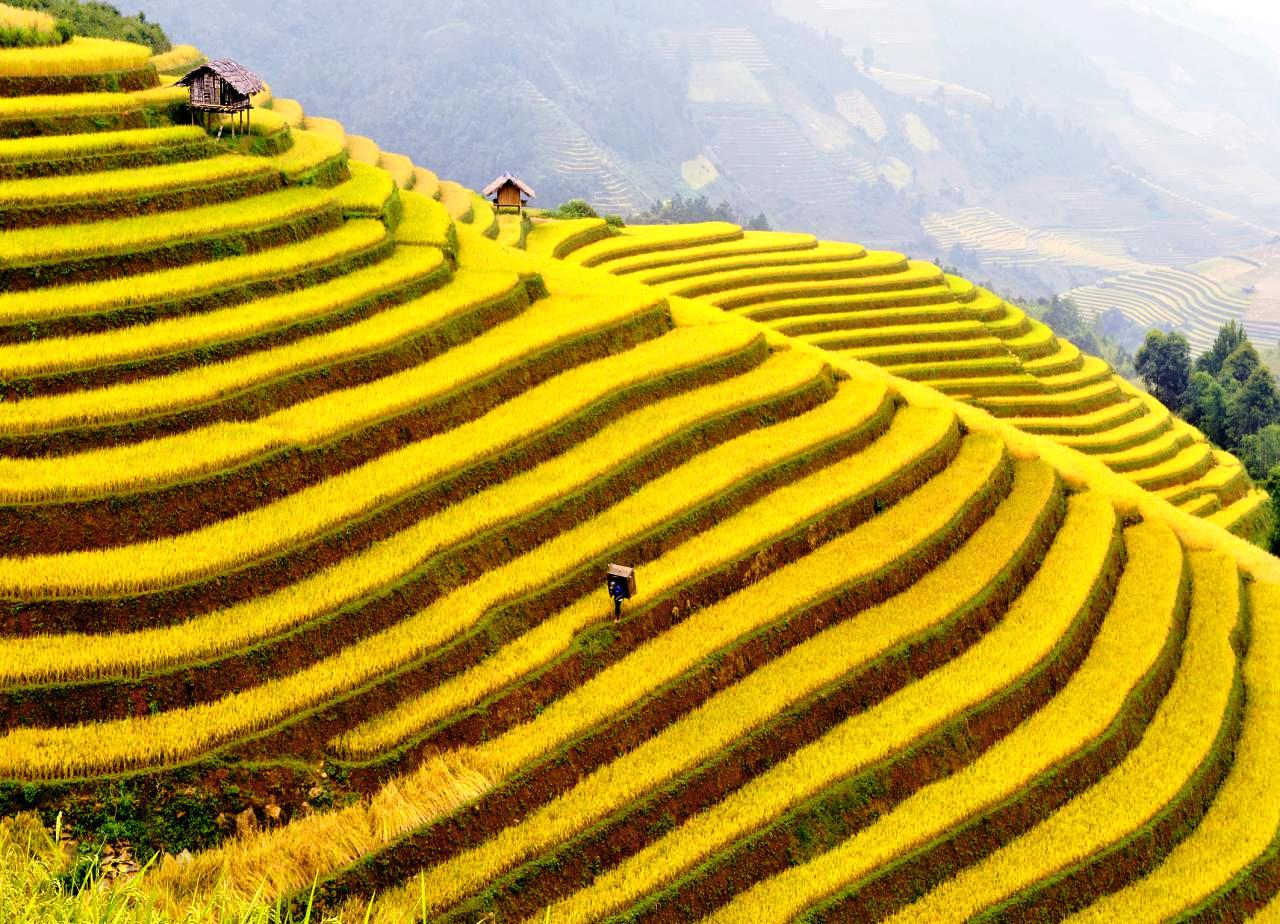 Tour Du Lịch Ninh Bình - Hạ Long - Sapa Từ Hà Nội - 6 Ngày 5 Đêm