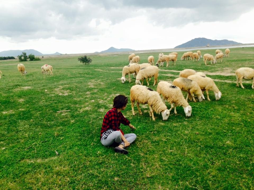 Tour du lịch Ninh Thuân 4 ngày 3 đêm. Khởi hành từ Hà Nội