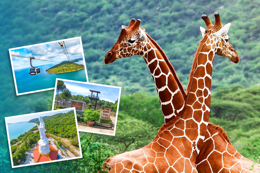 Tour Du Lịch Phú Quốc 3 Ngày 2 đêm. Khởi hành từ Hà Nội