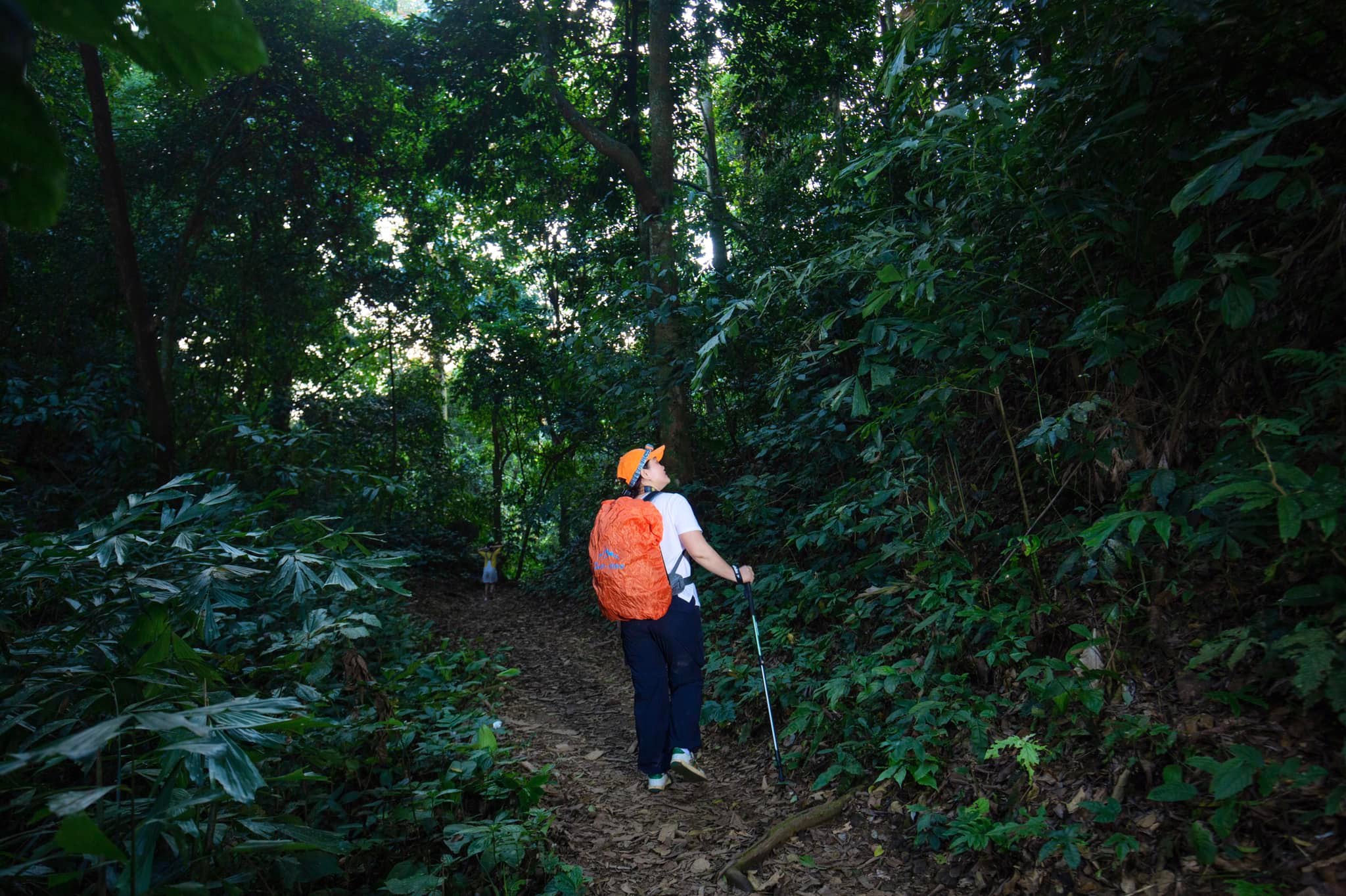 Tour Du Lịch Rừng Quốc gia Cúc Phương 2 ngày 1 đêm
