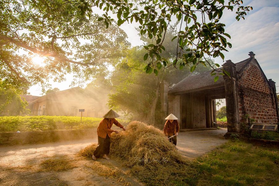 Tour Du Lịch Rừng Quốc gia Cúc Phương 2 ngày 1 đêm